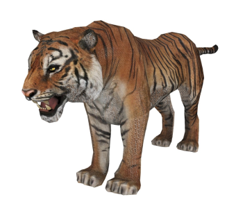 精品动物模型 老虎 (3)